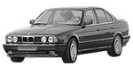 BMW E34 C12D0 Fault Code